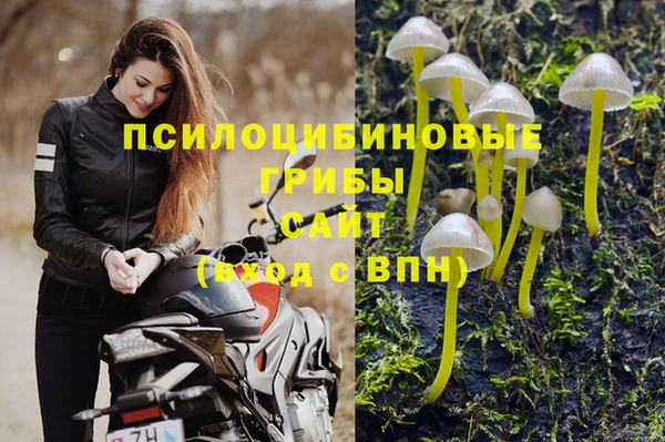 соль курить ск Алексин